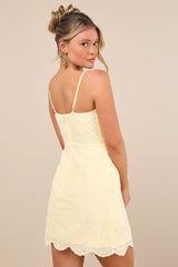 Modern Romantic Light Yellow Eyelet Lace Mini Dress