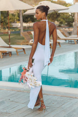 Frona Light Blue Mesh Backless Maxi Dress